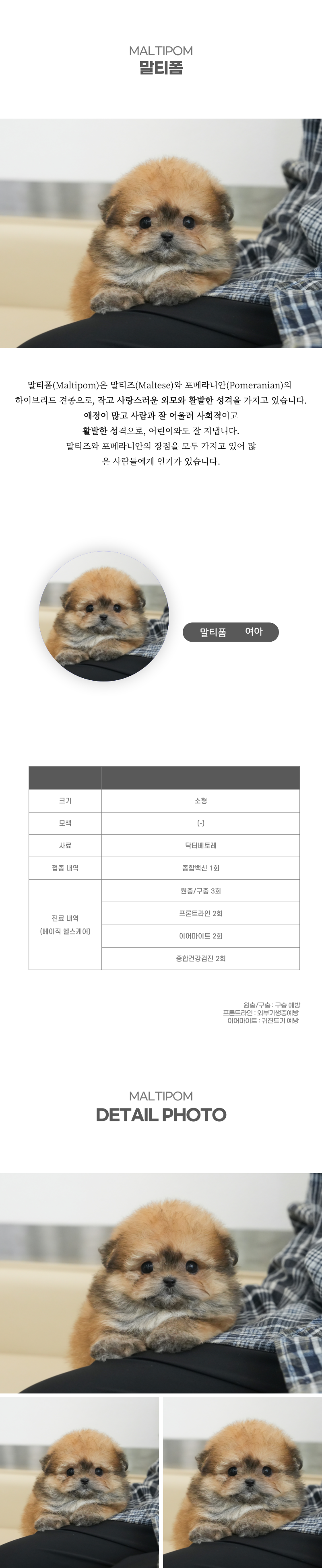 말티폼_상세이미지_2